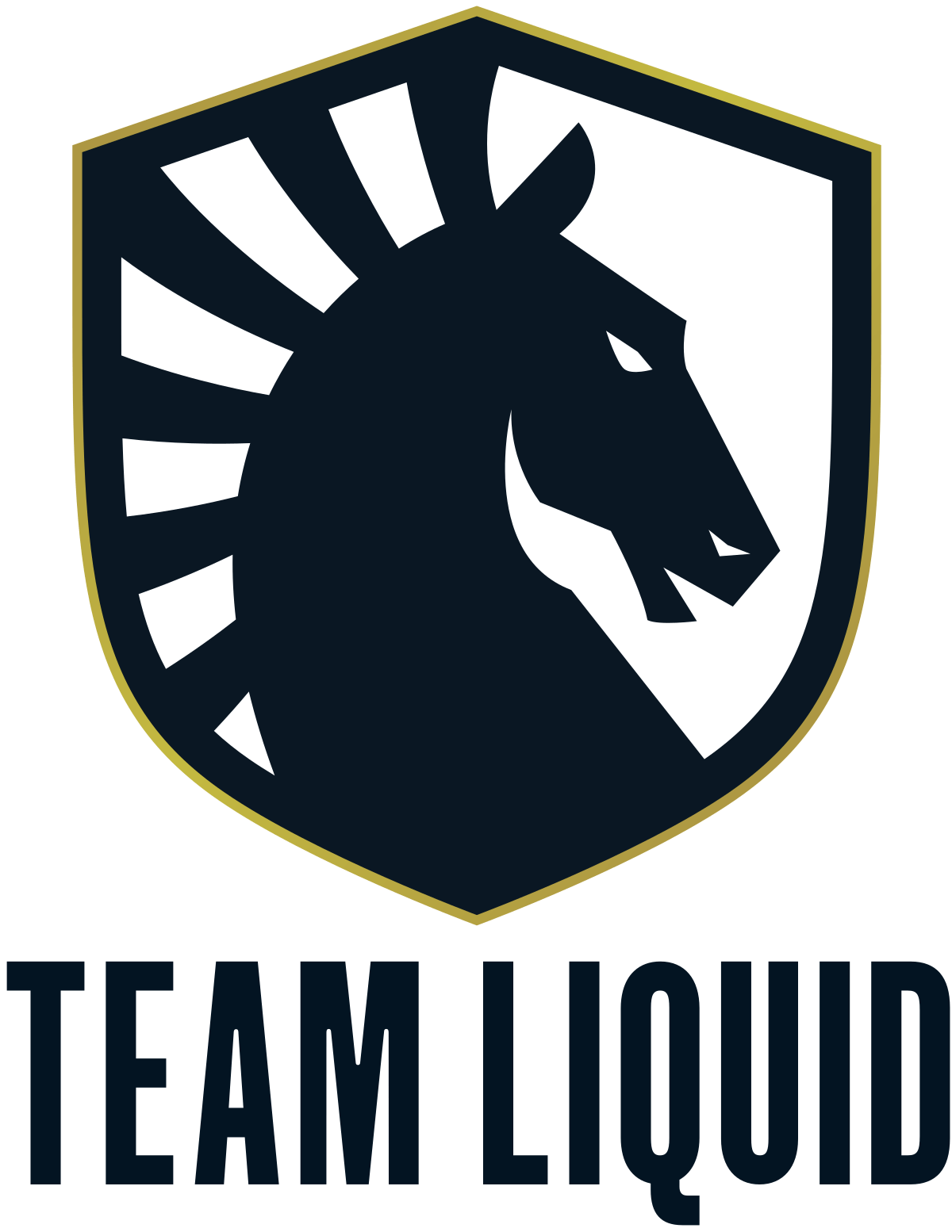 Team Liquid